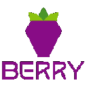 Logo of Berry Data