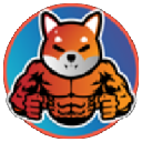 Buff Shiba Inu