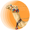 CamelToken