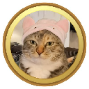 catwifhat