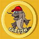CatFish