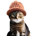 Logo of catwifhat