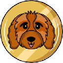 Cavapoo