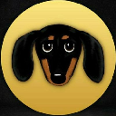Dachshund