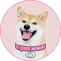 Logo of DogeGF
