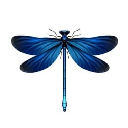 Dragon Fly