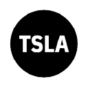 Tesla Tokenized Stock Defichain