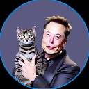 Elon Cat
