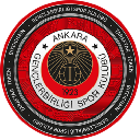 Gençlerbirliği Fan Token