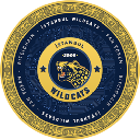 İstanbul Wild Cats Fan Token