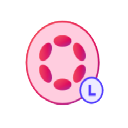 Liquid Staking Dot