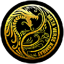 MetaVerse Kombat