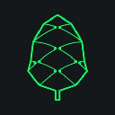 Pine