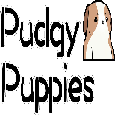 Pudgy Pups Club[new]