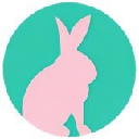 RABBIT TECHNOLOGY