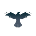 Logo of Raven Protocol
