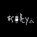 Salty Coin