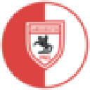 Logo of Samsunspor Fan Token