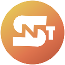 Share NFT Token