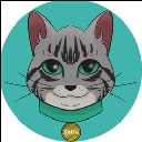 Shira Cat