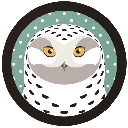 Snowy Owl