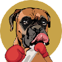 SUIBOXER
