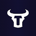 Torochain