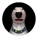 Walter Inu