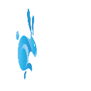 Water Rabbit Token