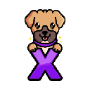 XENDoge