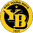 Logo of Young Boys Fan Token